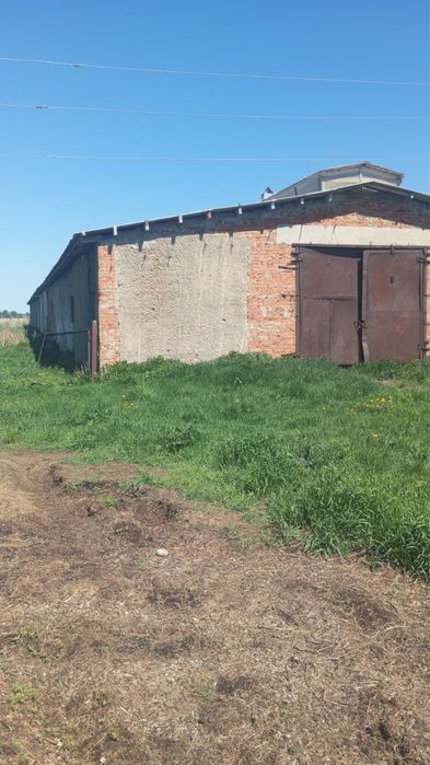 Продажа действующего ТОО