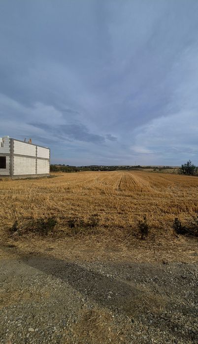 Vand teren intravilan Balș(Vartina), Olt