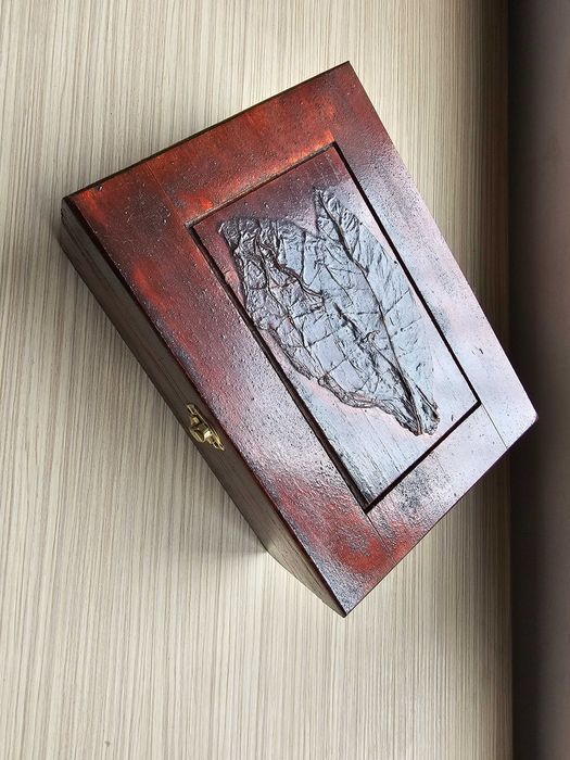 Продавам хумидор Davidoff