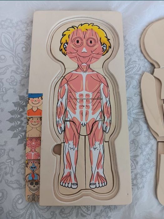 Joc puzzle corpul uman baiat anatomia umana ca nou anatomie
