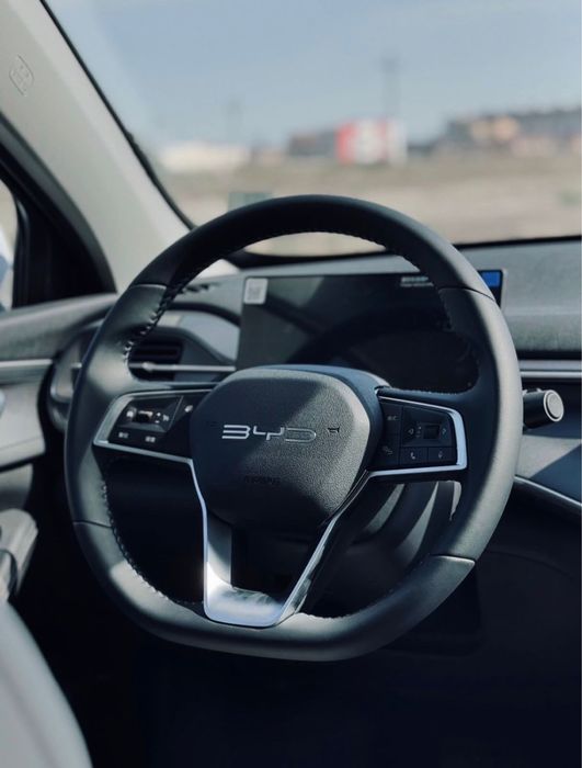 Сдам в аренду посуточно BYD destroyer 05