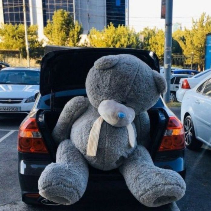 Teddy ayq myahkiy Сидушка Sidushka myaxkiy igrushka slon teddy 40sm 3m