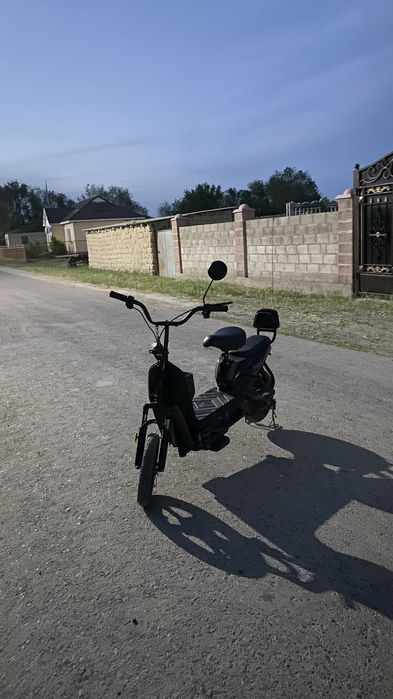Леопард чёрный стары