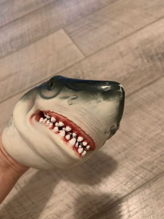 акула голова акулы