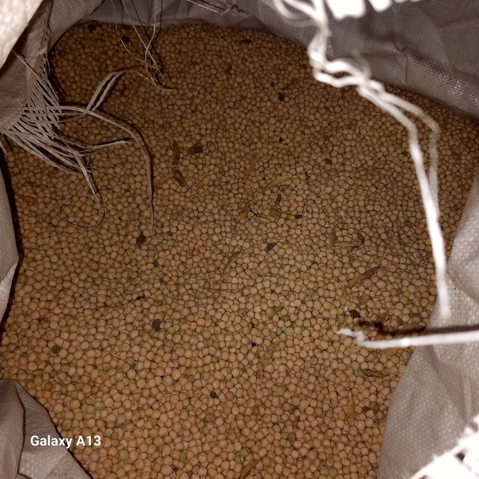 Mazare selectata 2025