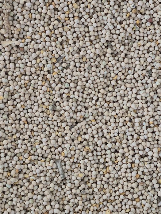 Vand grau , porumb , orz , mazare