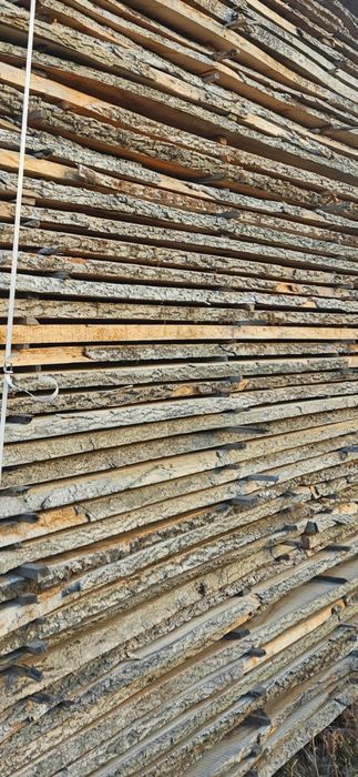 Cherestea netivita frasin