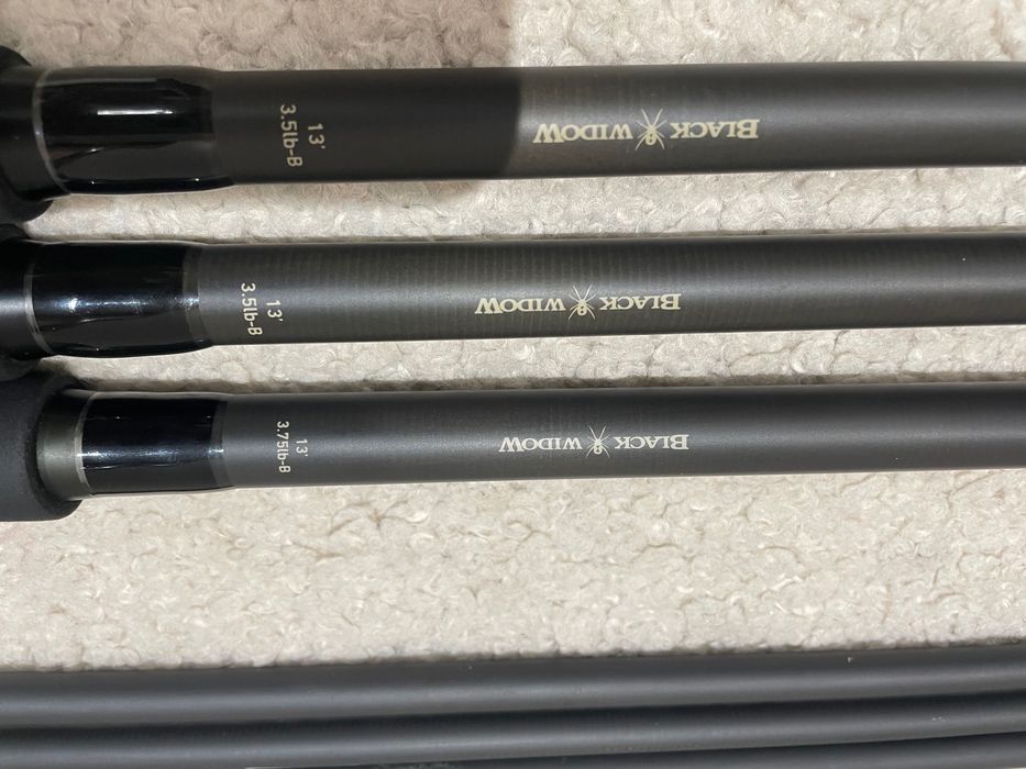 Daiwa black widow 13ft 3.5lb