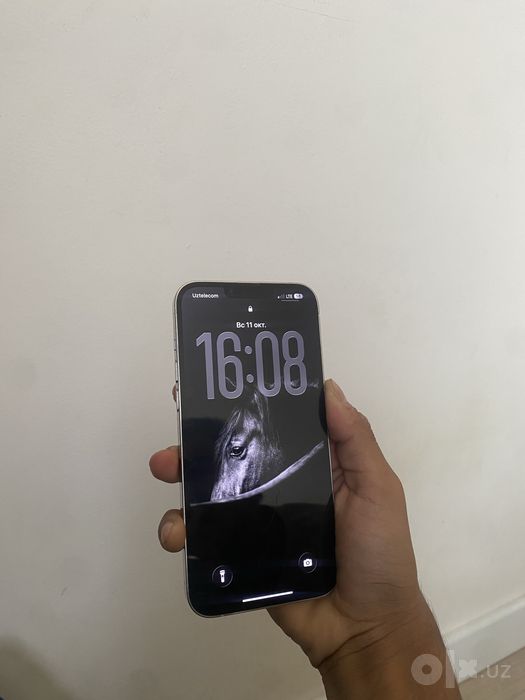 Iphone 13 pro max 256gb