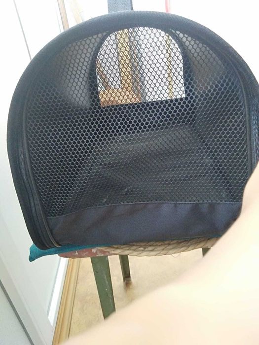 Продам переноску для кошек