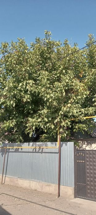 Продаю дом или квартиру обмен