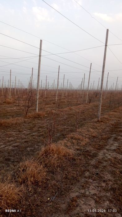 Бетонный стойки-Шпалера.Узумзор,богзор, ограждения учун 4.30м