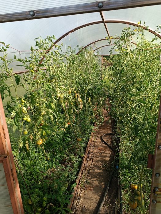 Продается дача на федоровке