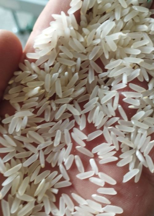 Рис Лазер Оргинал маш нохат лобия фасол оптым баға.