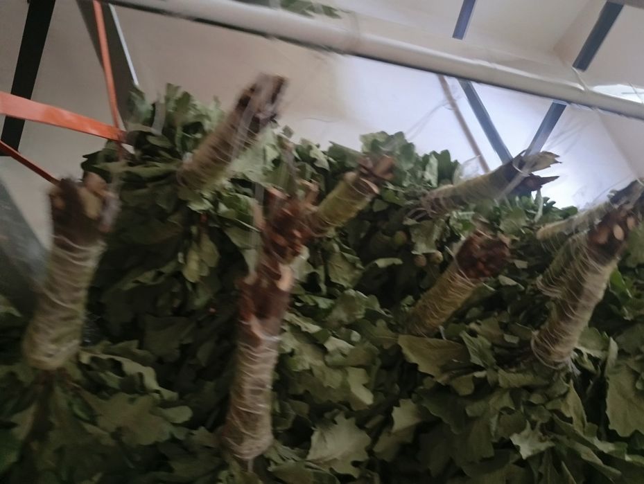 Продам венники банные