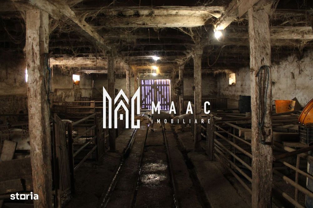 Oportunitate de Aur la Intrarea în Vurpar