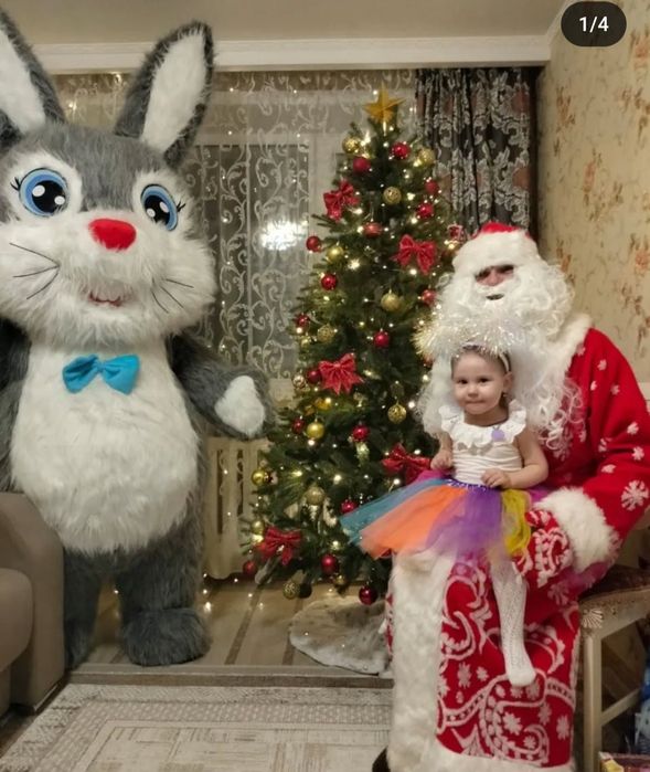 Дед Мороз 31декабря от 8000т