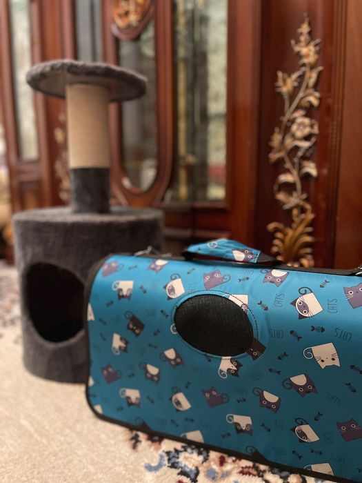 Комплект для кошки: Уютный домик + Удобная переноска