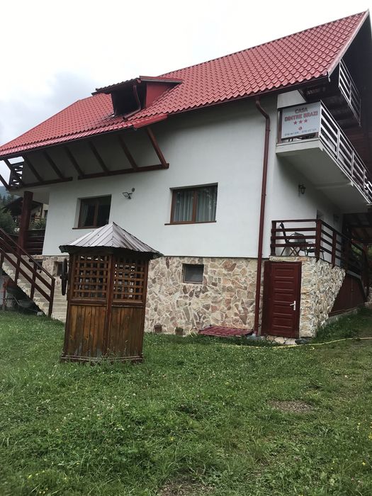 Cabană la Arieseni cu ciubăr,de închiriat