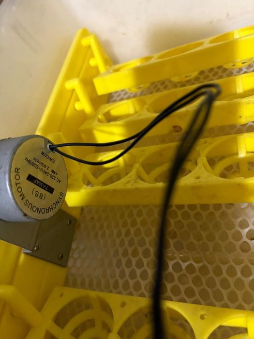 Инкубатор для яиц