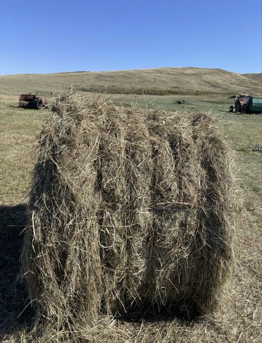 рулоны  +- 250кг