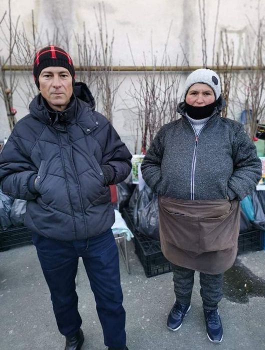 Pomi fructiferi; Arbuști fructiferi și ornamentali.