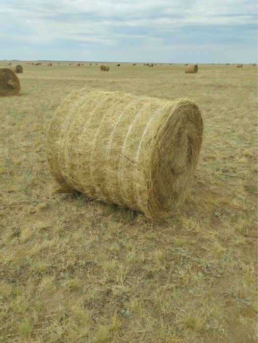 Продам сено в рулонах!Z 562