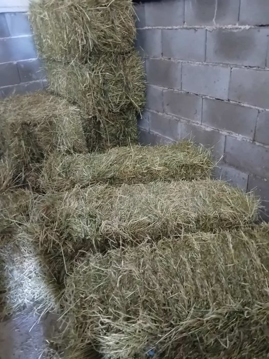 Бали сено и люцерна