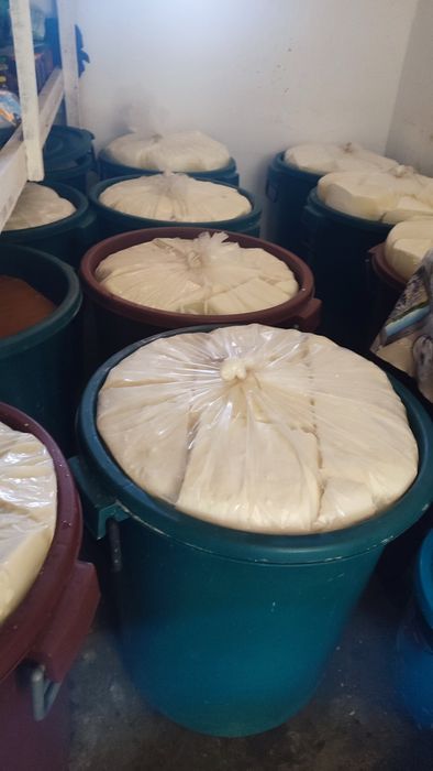 Vând brânză de oaie telemea