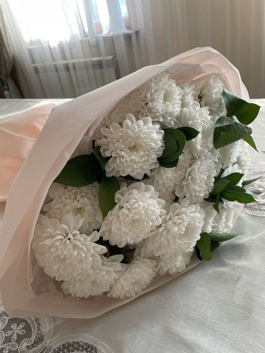 Продам цветы, хризантемы