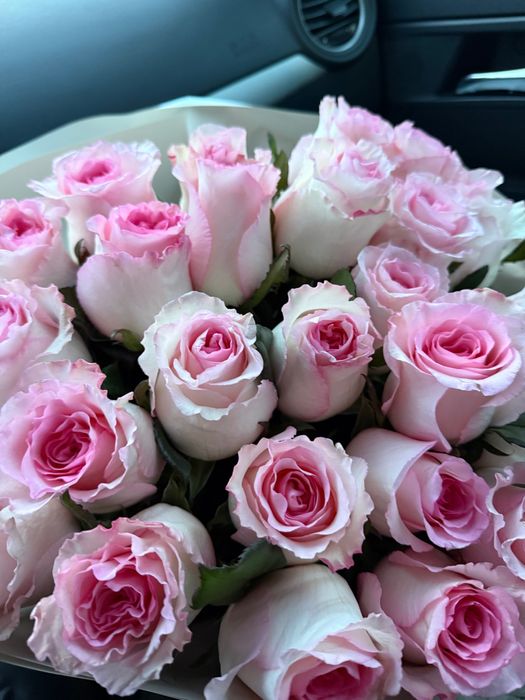 Красивые Цветы 25 роз