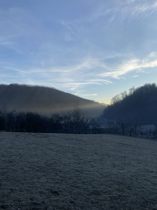 Kxd pro germany huricanne (turbat)