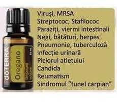 Ulei Esential Oregano doterra cu 15 beneficii