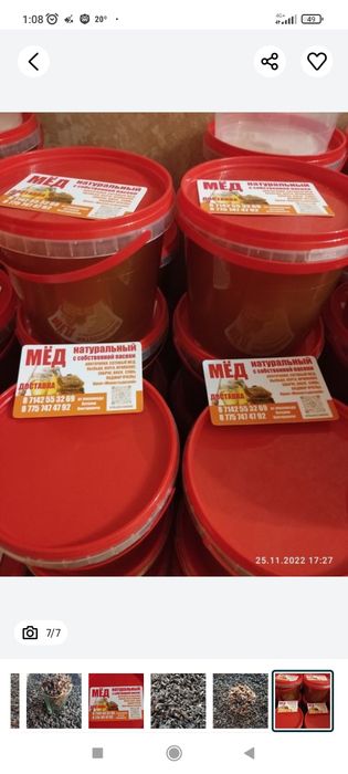 Подмор     пчелы