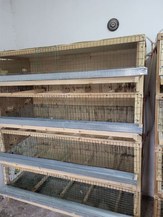 Клетки для разведения птиц ( цыплята , перепелки)