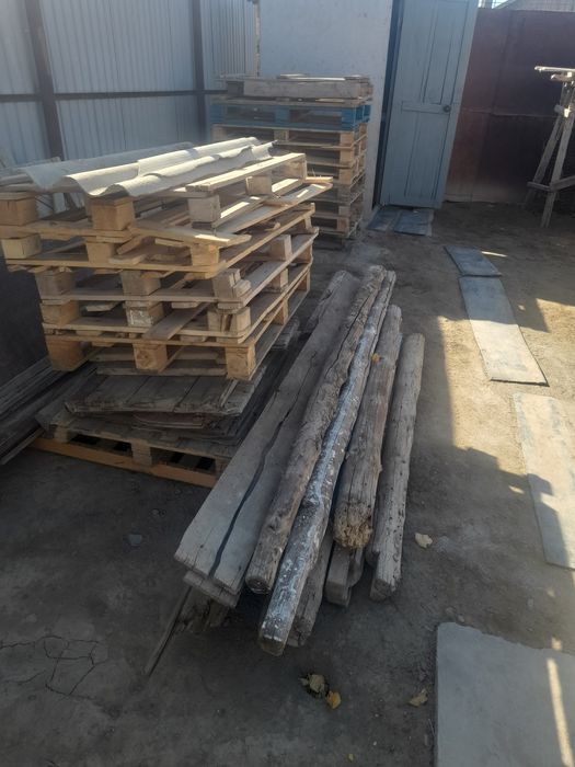 Отындык агаштар бар