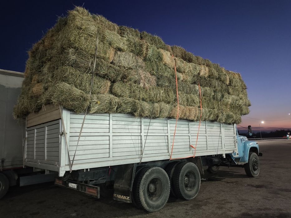 Сено шоп жонышка