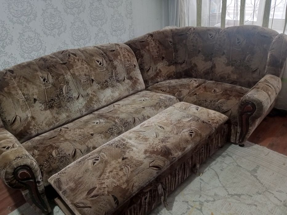 Отдам срочно в дар