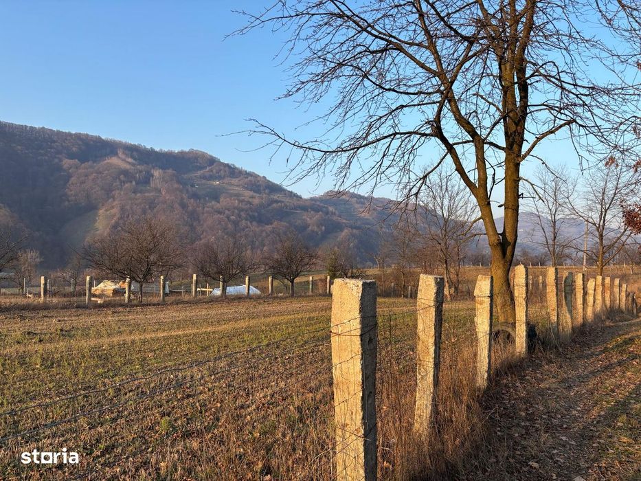Teren intravilan de vânzare, 3111mp, acces asfaltat