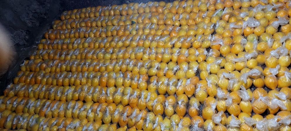 Adboʻrniy limonlar sotiladi