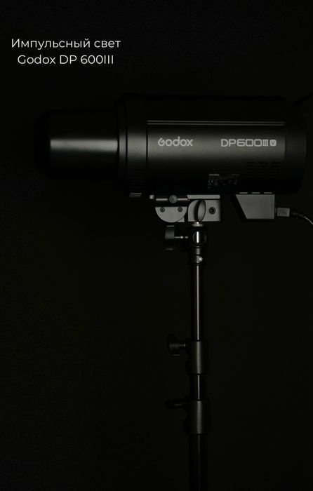 Импульсивный свет Godox DP 600 lll