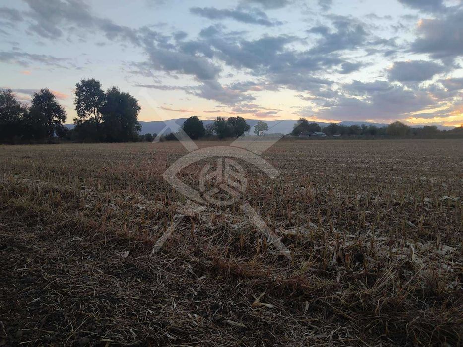 Земеделска земя в Катуница 48984