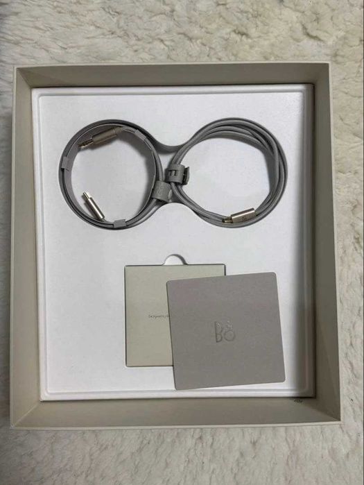 Bang & Olufsen Beoplay H100
