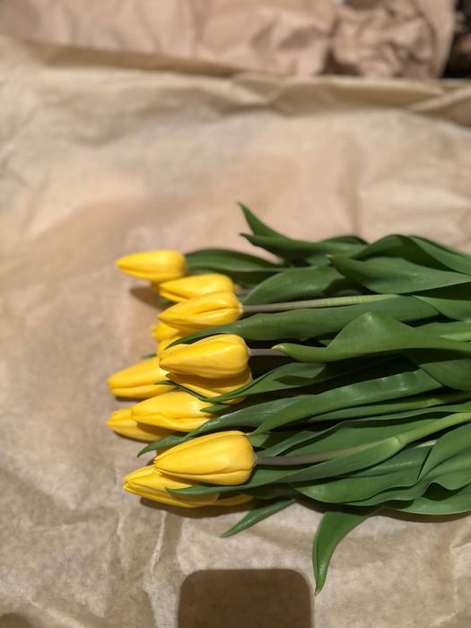 Тюльпаны оптом и в розницу