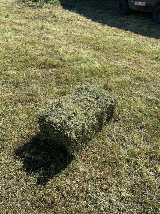 Baloți de vânzare, 13-16 kg bucata