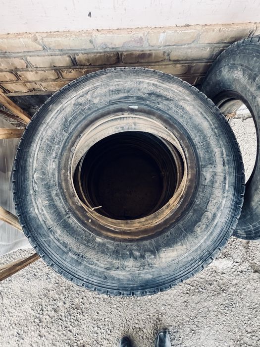 Хайфлайн шины