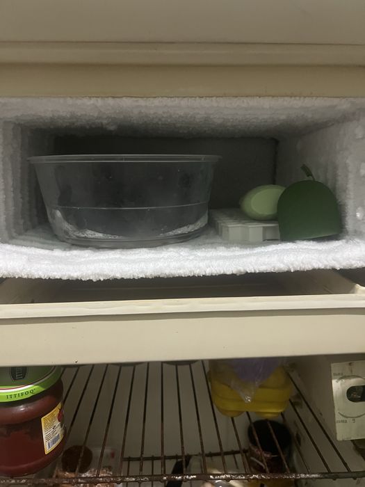 Muzladgich Xoladelnik