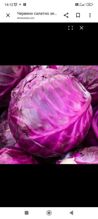 Продавам червено зеле