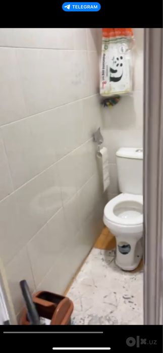 Kvartiraga qizla qoyamiz zauchniy oqiydiganlani