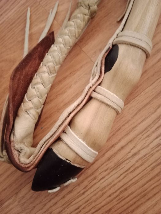 Қамшы ,камши,қамшылар